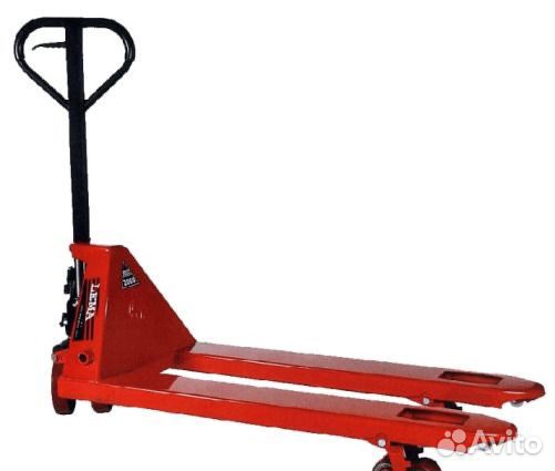 Рохля в аренду