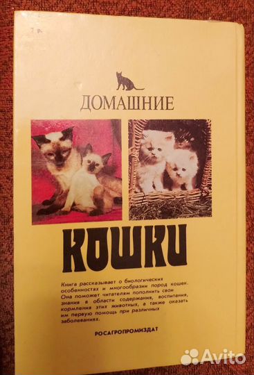 Книга Домашние кошки