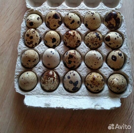 Яйца перепелиные