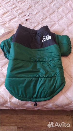 Одежда для собак мелких пород зима