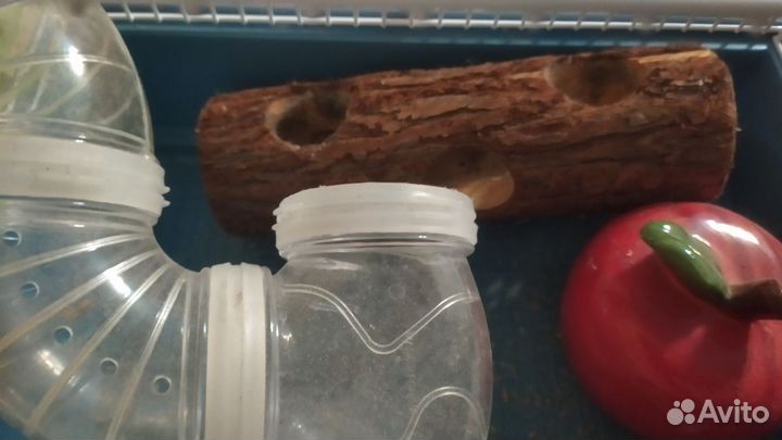 Клетка для джунгарского хомяка