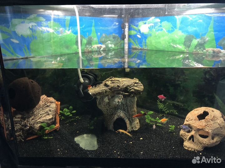 Аквариум