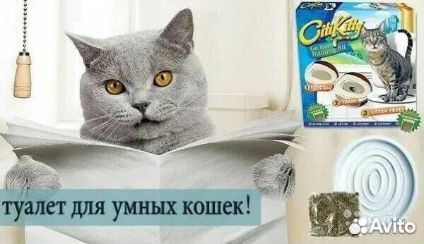 Набор для приручения кошки к унитазу