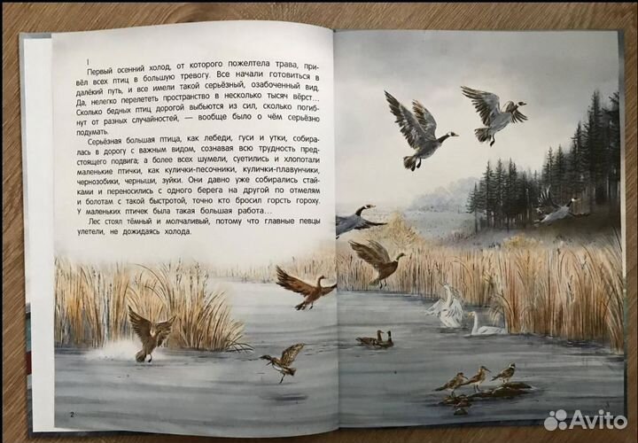 Книга детская Серая Шейка, Рикки-Тикки-Тави