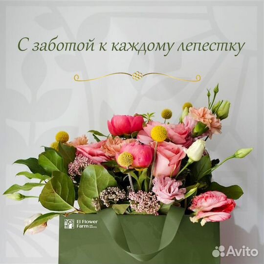 Графический дизайнер (+ печать визиток)