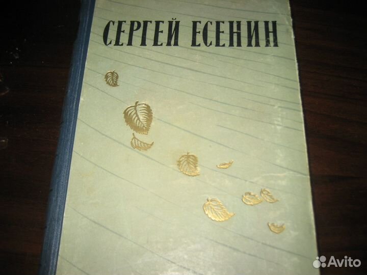 Фет Евтушенко и др. стихи