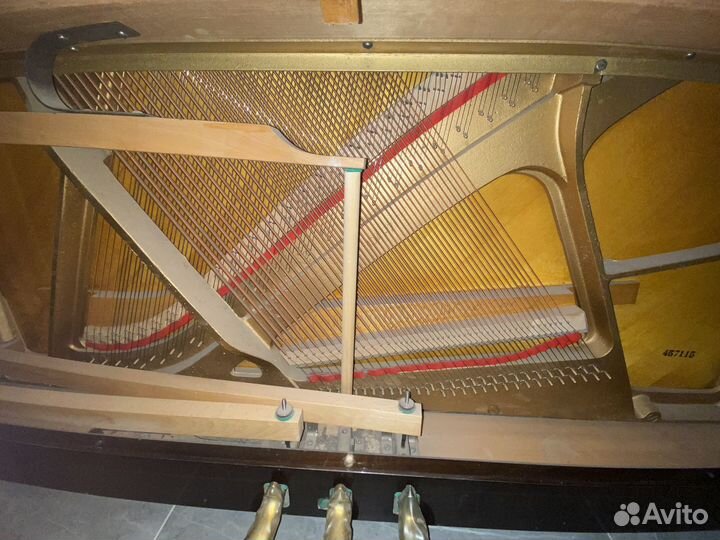 Фортепиано Petrof