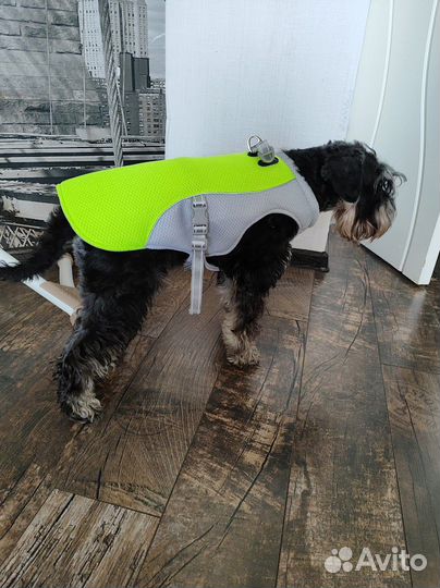 Охлаждающая попона для собак