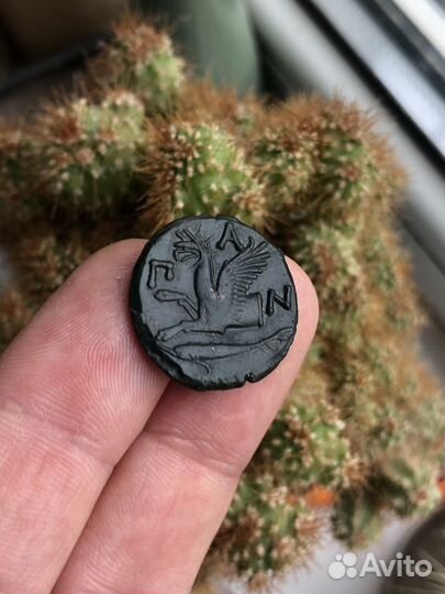 Тетрахалк Грифон