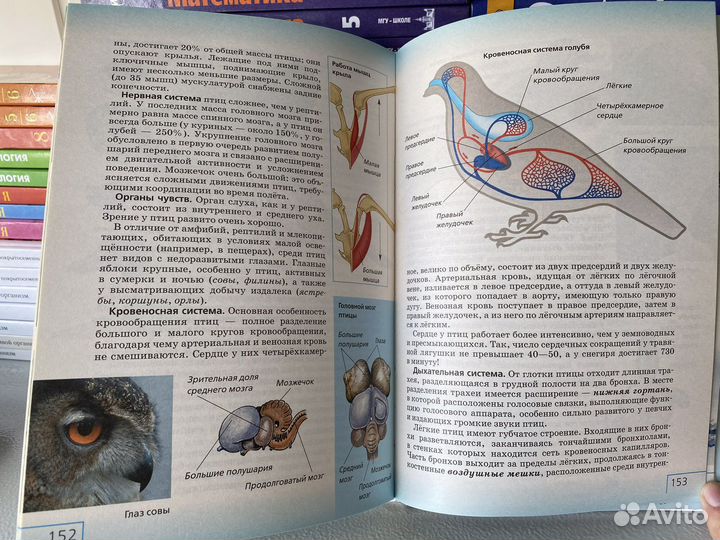 Биология 8 класс Сонин Захаров 2019