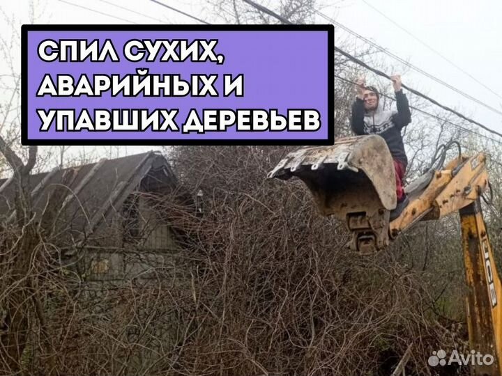 Расчистка участка, благоустройство