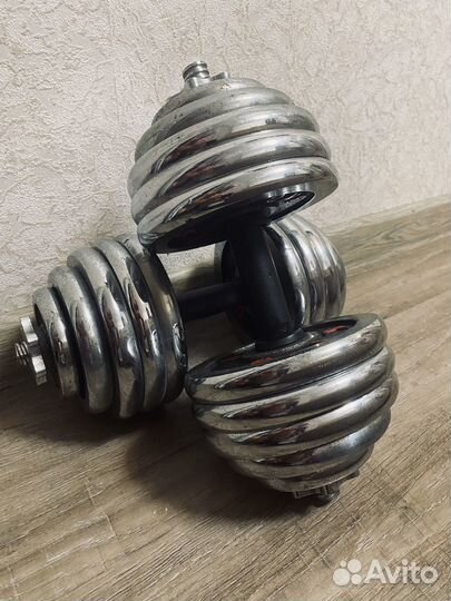 Гантели разборные 50кг (2х25кг)