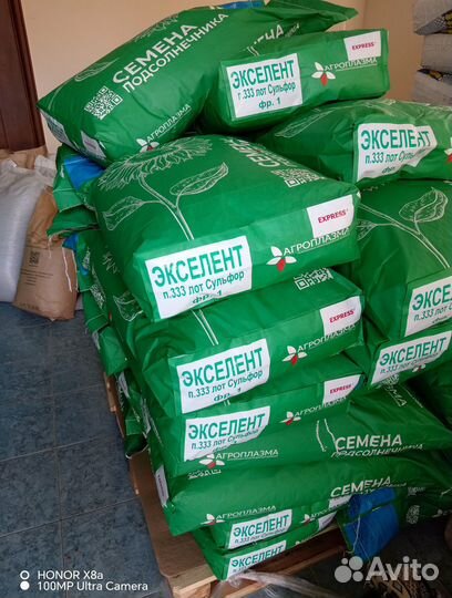 Семена подсолнечника Экселент - (Экспресс)