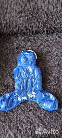 Комбинезон для маленькой собаки