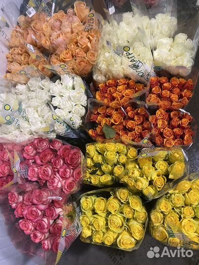 Цветы Розы оптом и в розницу