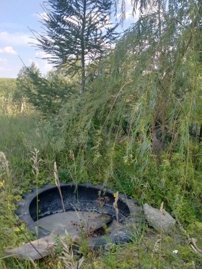 Участок 8 сот. (СНТ, ДНП)