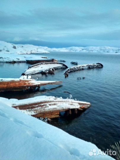 Тур в Териберку из Кировска