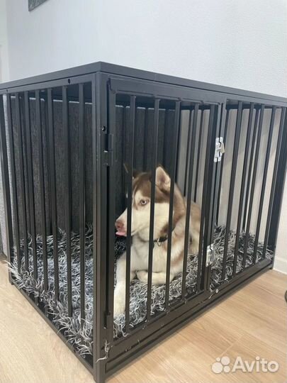 Клетка для собак от производителя