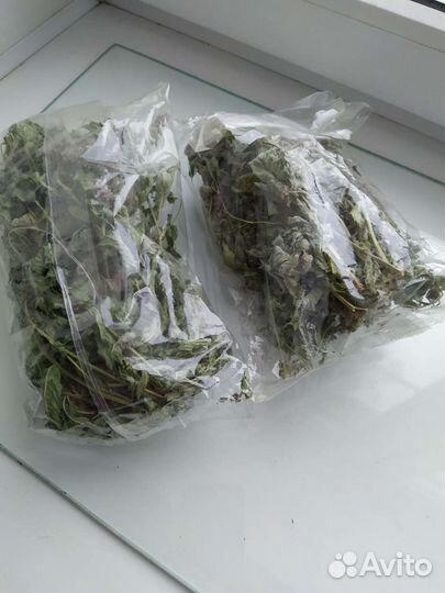 Мята, малина,облепиха,укроп - лист, сок калины