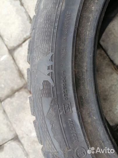 Gislaved Nord Frost 5 205/50 R17 93T