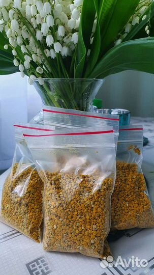 Пыльца цветочная