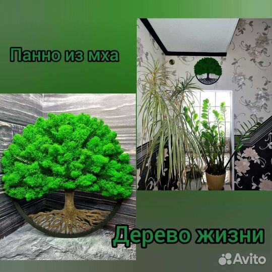 Панно,картина,декор со мхом