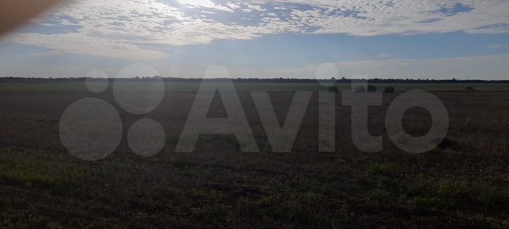 Участок 13,01 га (СНТ, ДНП)