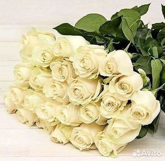 Высокие розы Гигантские розы Доставка цветов