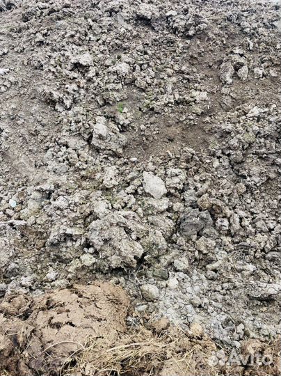 Перегной навоз коровий