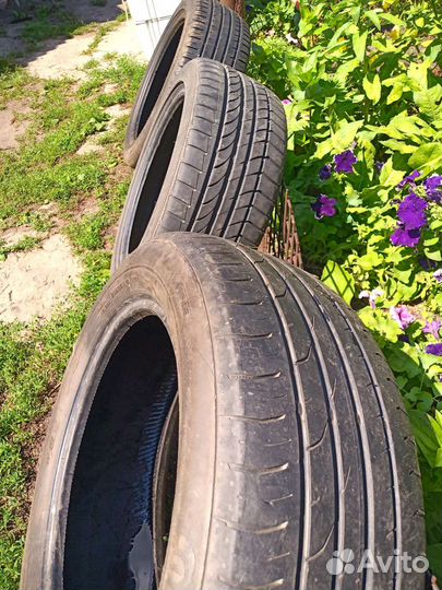 Dunlop Graspic DS3 205/55 R16