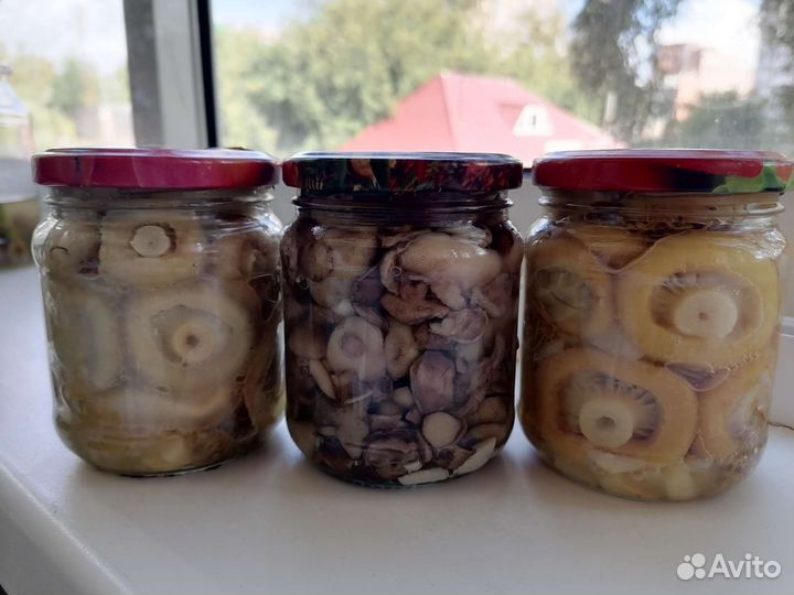 Грибы, подарочный набор