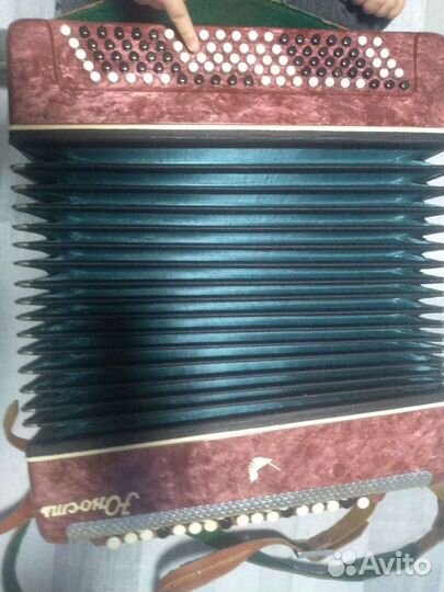 Баян юность