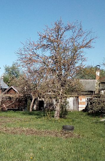 Дом 93 м² на участке 12 сот.