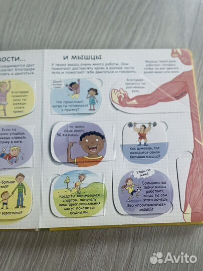 Секреты человека. Секретные створки