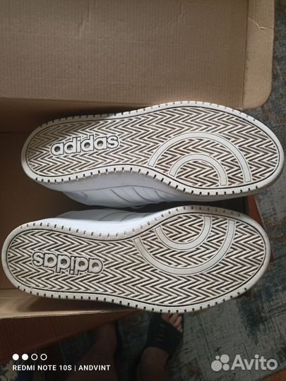 Кроссовки Adidas Hoops(оригинал)