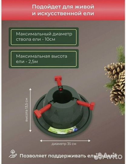 Живые ели и сосны