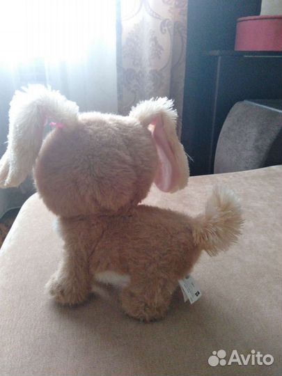 Интерактивная собака