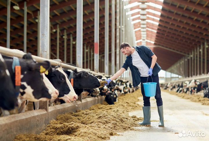 Разнорабочий агрохолдинг вахта в Татарстане