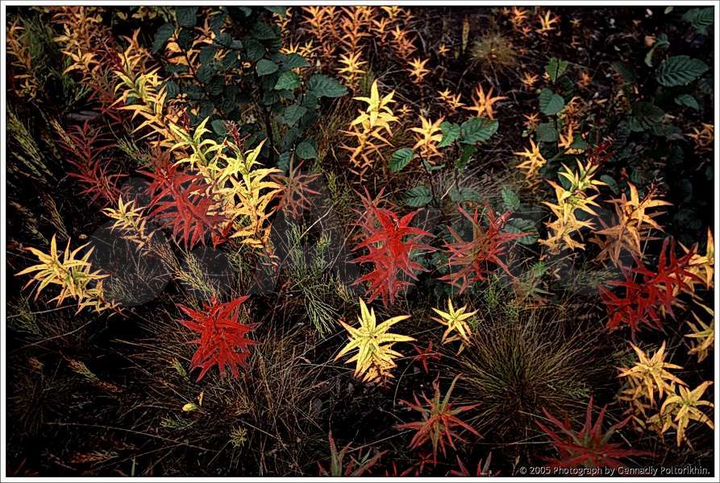 Дача 25 м² на участке 1 сот.