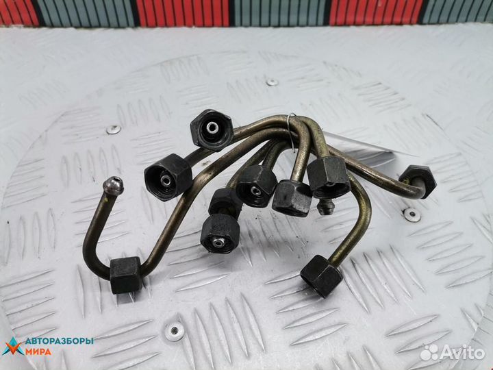 Трубка топливная Renault Laguna 2 2002 8200600509