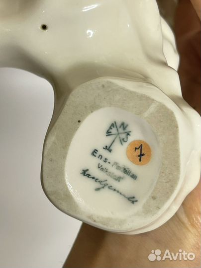 Попугай Karl ens