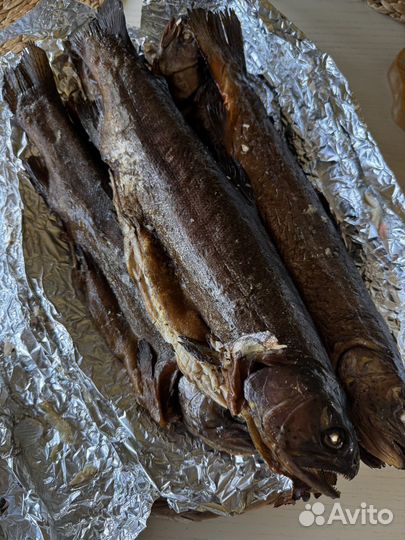 Рыба горячего копчения