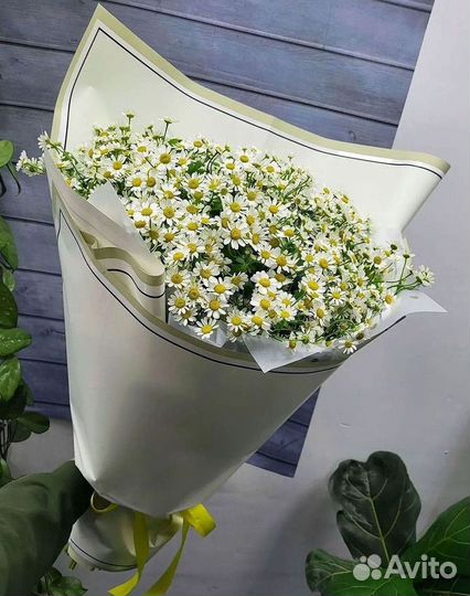 Цветы ромашки. Букеты ромашек. Цветы доставка
