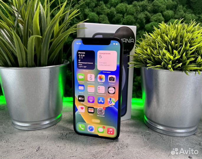 iPhone 12 mini, 256 ГБ