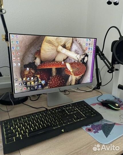 Моноблок asus V241icgk