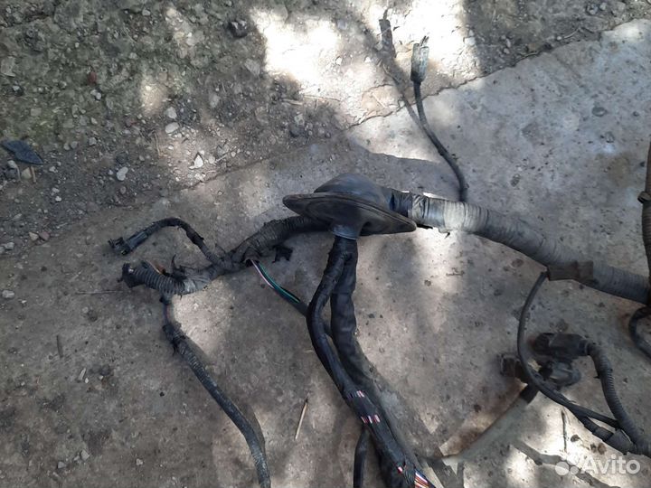 Проводка двигателя (МКПП) Hyundai Elantra Xd седан