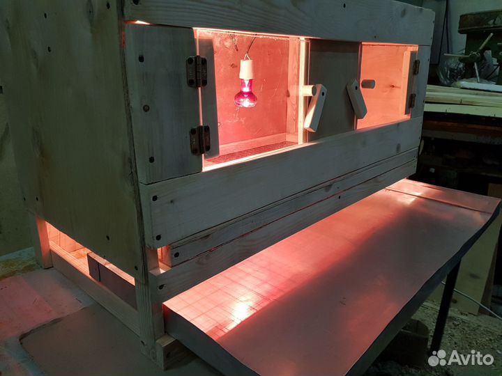 Брудер для молодняка птиц