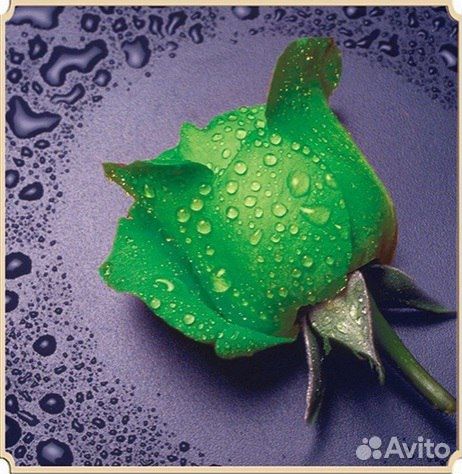 Наборы алмазной мозаики (вышивки)