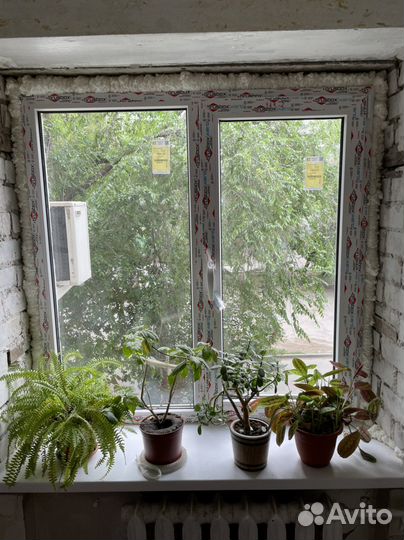 Окно пластиковое