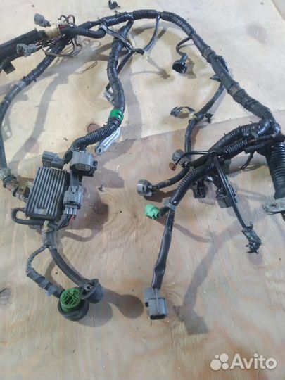Проводка двигателя Honda Accord F20A4 89-98 Rover